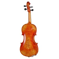 Gewa Viola Maestro 41 con Setup
