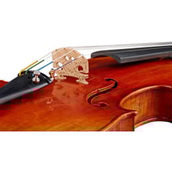 Gewa Viola Maestro 41 con Setup