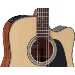 Takamine GD15CE NAT