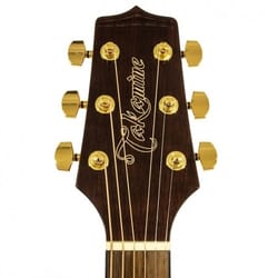 Takamine GSD11MCE NG