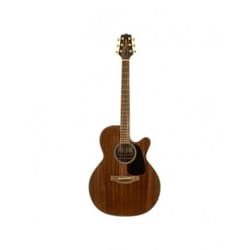 Takamine GSN11MCE NG