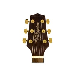 Takamine GSN11MCE NG