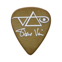 Ibanez 1000SVBR Steve Vai...