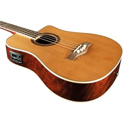 Eko MIA IV Bass EQ Natural