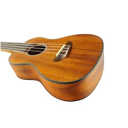 Eko Duo Ukulele Concerto EQ Natural