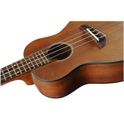 Eko Duo Ukulele Concerto EQ Natural