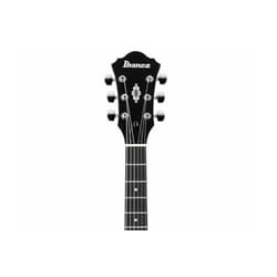 Ibanez AS53 TKF Transparent Black Flat 