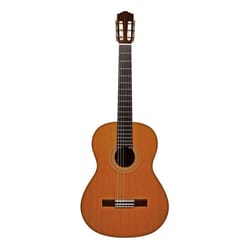 Salvador Cortez CC-140