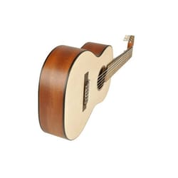 Salvador Cortez TC-460