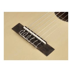 Salvador Cortez TC-460