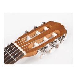 Salvador Cortez TC-460