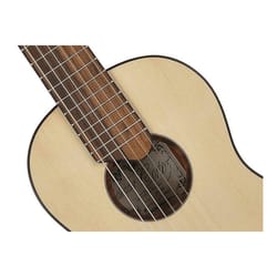 Salvador Cortez TC-460