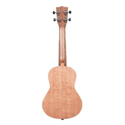 Kala KA-20C Burled Meranti Concert Ukulele