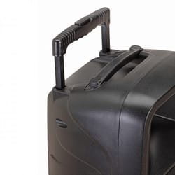 Soundsation Go Sound 10AMW Cassa Portatile