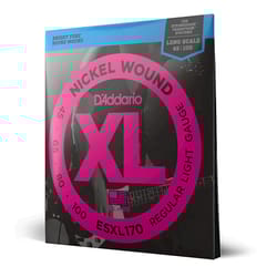 D'addario 45-100 ESXL170