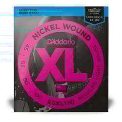 D'addario 45-100 ESXL170