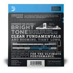 D'addario 45-100 ESXL170