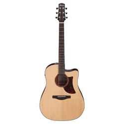 Ibanez AAD170CE Natural Low...