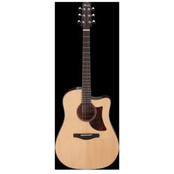 Ibanez AAD170CE Natural Low Gloss