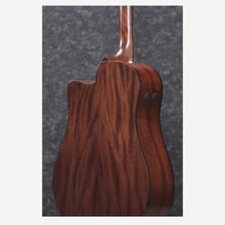 Ibanez AAD170CE Natural Low Gloss