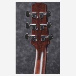 Ibanez AAD170CE Natural Low Gloss