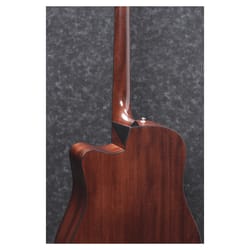 Ibanez AAD170CE Natural Low Gloss