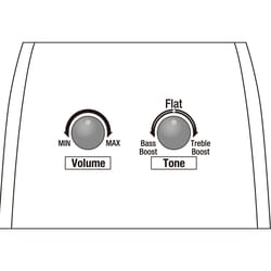 Ibanez AAD170CE Natural Low Gloss