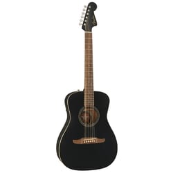 Fender Strummer Campfire WN Matte Black