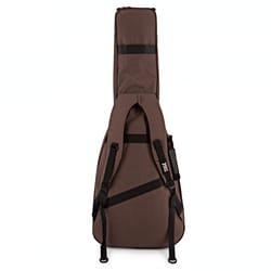 PRS SE 245 Standard BT Birds Tobaccos