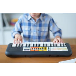 Yamaha PSS-F30
