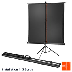 Celexon Economy 219X219 1:1