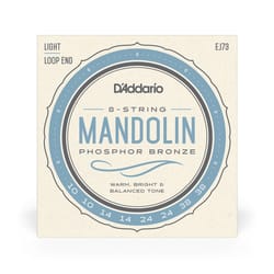 D'addario EJ73 Mandolin...