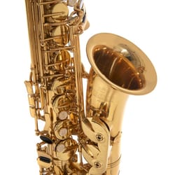 Roy Benson AS202 Sax Alto