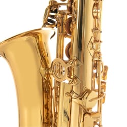 Roy Benson AS202 Sax Alto