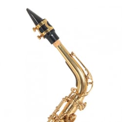 Roy Benson AS202 Sax Alto