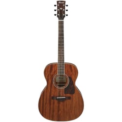Ibanez Artwood AC340 Open...