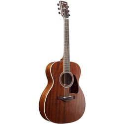 Ibanez Artwood AC340 Open Pore Natural