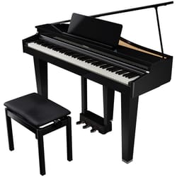Roland GP-3