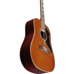 Eko Ranger VI VR Natural Top Stained