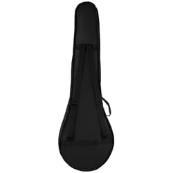 Fender PB180E Banjo WB Natural