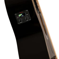 Fender FA-125CE Dreadnought WN Black