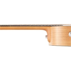 Lava Music Blue Lava Original Freeboost