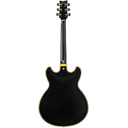 Ibanez JSM20 BKL Black Low Gloss