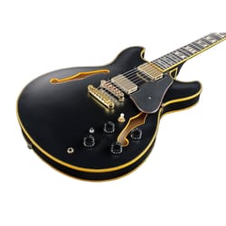 Ibanez JSM20 BKL Black Low Gloss