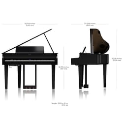 Roland GP-6 PE Black