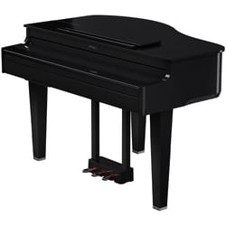 Roland GP-6 PE Black
