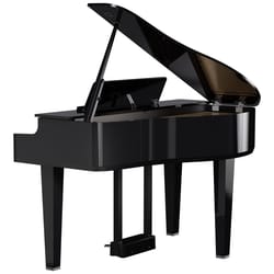 Roland GP-6 PE Black