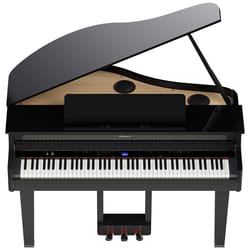 Roland GP-6 PE Black