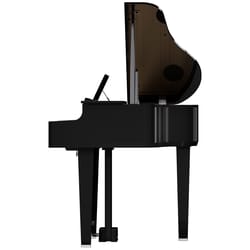 Roland GP-6 PE Black