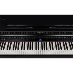 Roland GP-6 PE Black